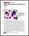 [thumbnail of Unique cancer arising after anti-CD19 CAR-T cell therapy.pdf]